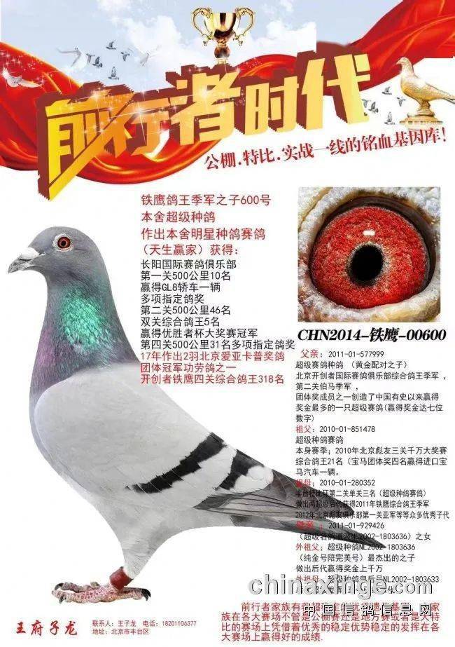 王府子龙高光时刻 同日豪夺国内三大一线职业赛场冠、亚、殿军
